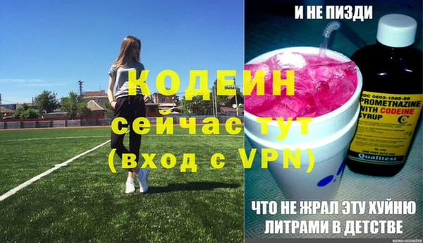ешки Семилуки