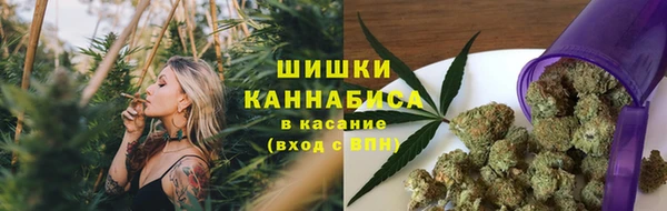 СК Алзамай